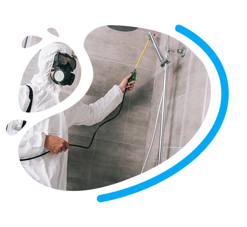 desinfection deratisation