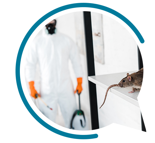 société de dératisation