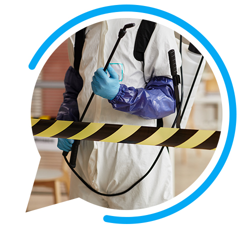 société de désinsectisation